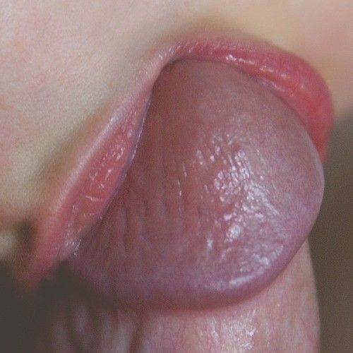 Live for cock. I do.
