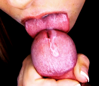 drink absolutely all of me
