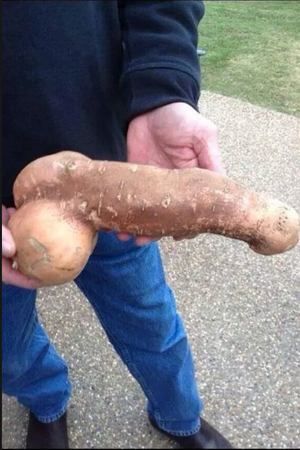 The farmer's wife was very happy with this year's crop!