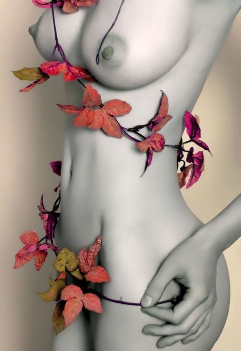 Alluring Erotica