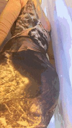 a*s reveal and panty peel [gif] [f] GIF