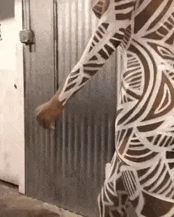 Artful ebony