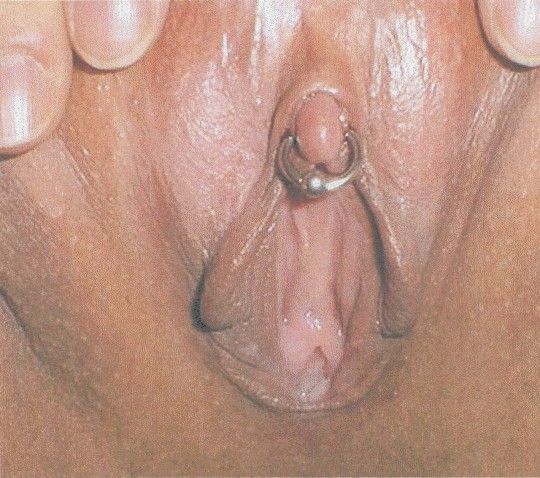 lovely cum lick me clit