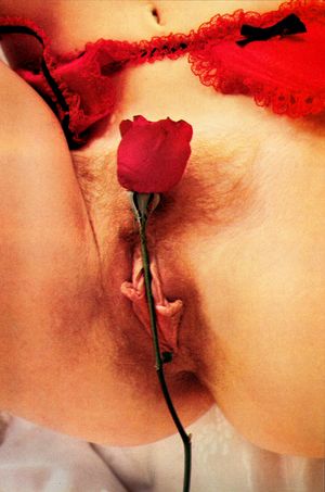 Hairy Pussy Valentine's Day Porn