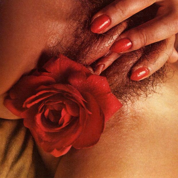 Closeup Hairy and Moist Pussy with Flower Insertion