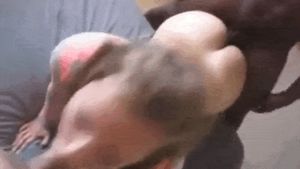 A mouthful of cum and an ass full of cock . She’s a twitcher