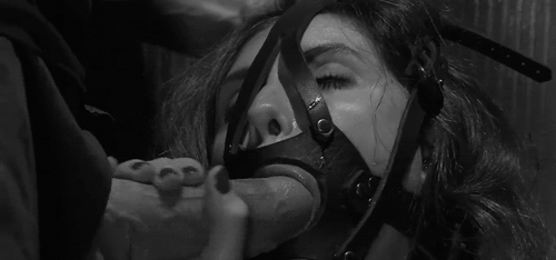 Sworn To The Dark