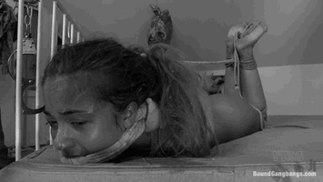 Snuff Film At Eleven Gif | Sex.com