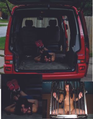 Asian wife kidnapped, never to be seen by her family again. Forever caged and trained to be a sex slave.