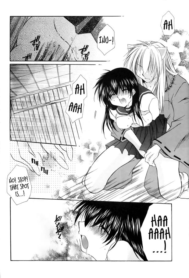 Hana to Ringo