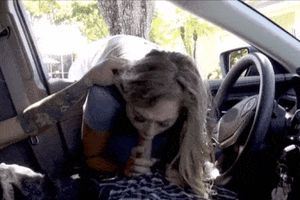 Gagging on a dick through a car window