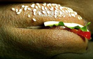 has anyone seen my sandwich?