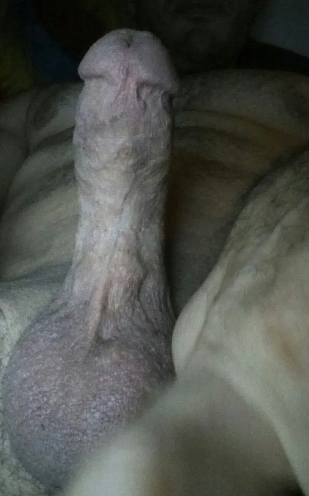 My erect cock