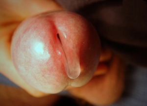 Closeup dripping precum..