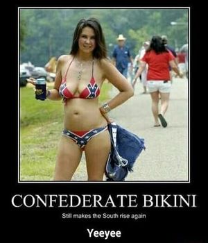 Confederate Bikini