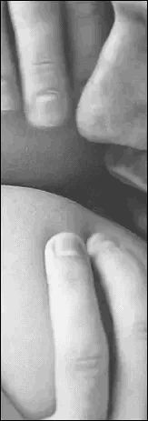 Perfect hole getting licked