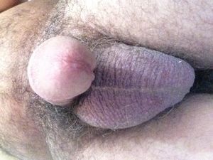 My cock and balls full of cum to you!