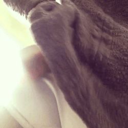 Explore personalized images of Ayisha Cottontail