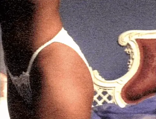 Pam Andersons curves
