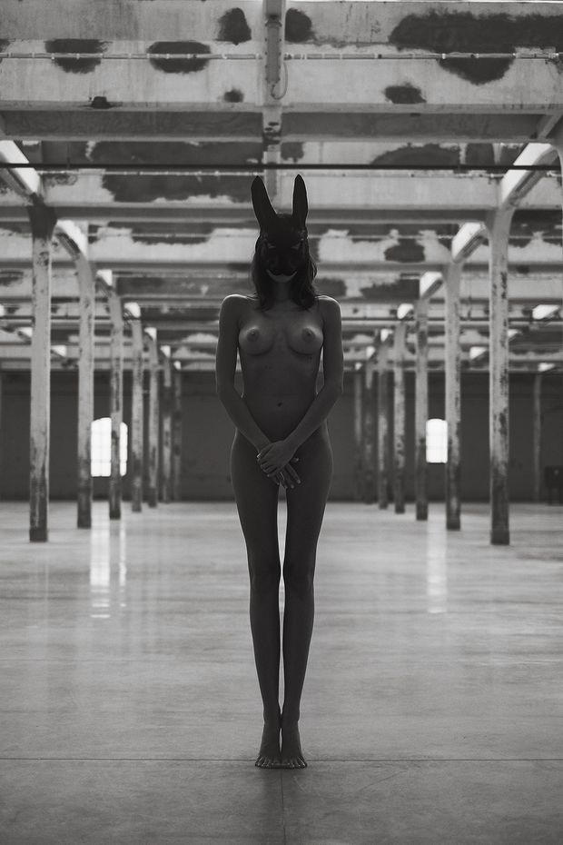 A lonely bunny!
