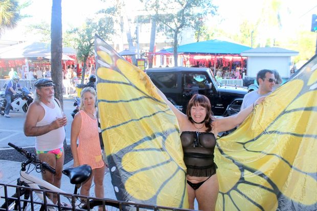 A very beautiful butterfly