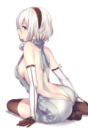 Virgin killer