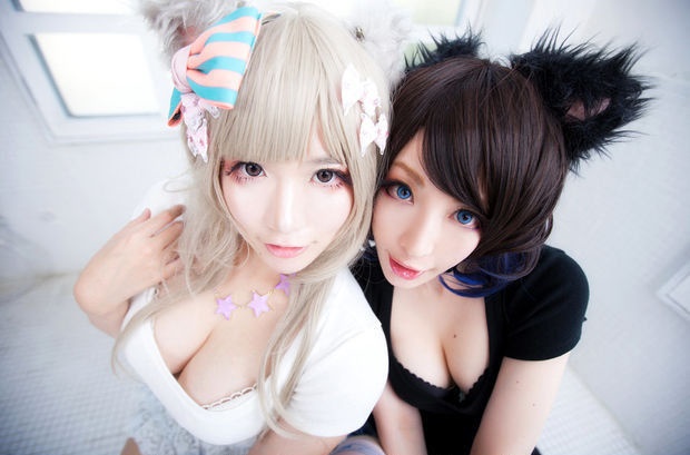 adoptakitty com