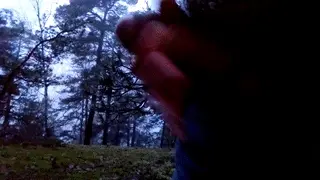 Playin in forest.