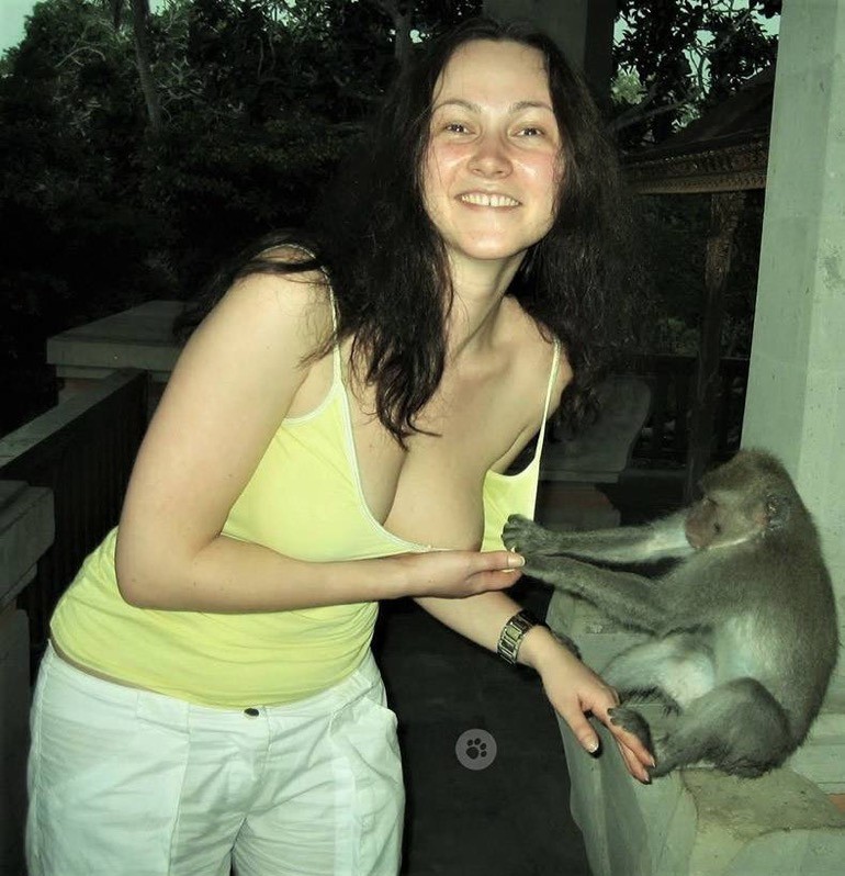Monkey