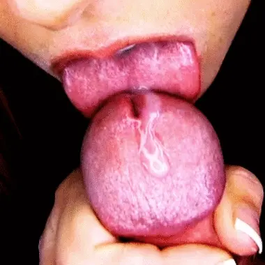 Licking a cock