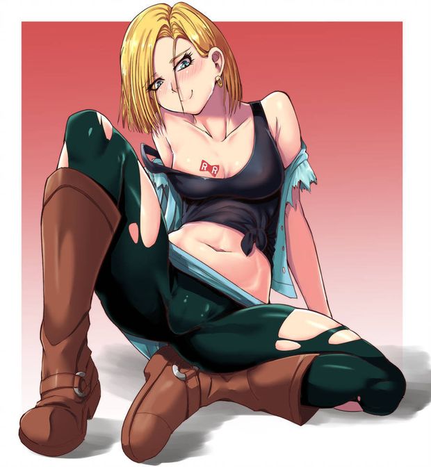 Android 18 torn
