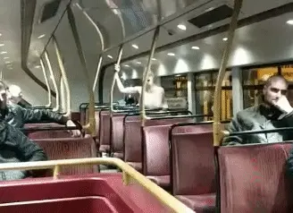 Public bus sex
