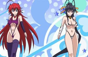 akeno himejima and rias gremory