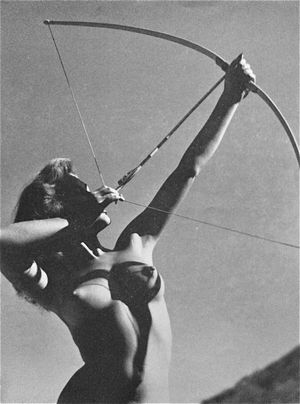 Bow and arrow