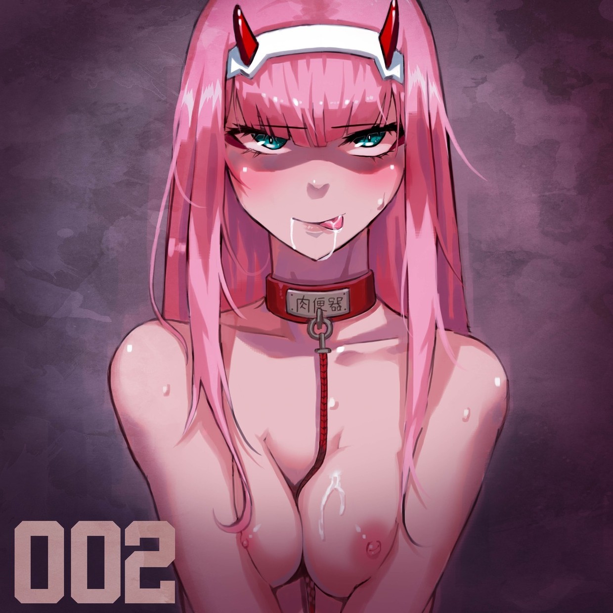 Zero two leashed