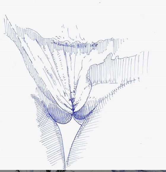 close up drawing