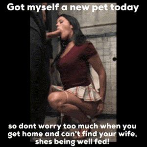 And tomorrow I will teach you a new trick