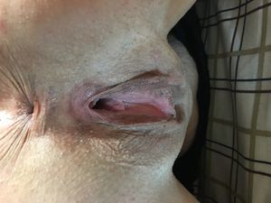 RobG73 Picture