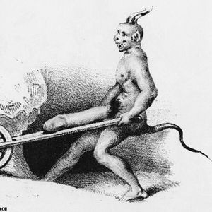 Well hung devil wheelbarowin his cock.