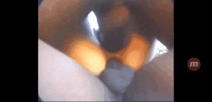 Roxanne Hall's hardest DP