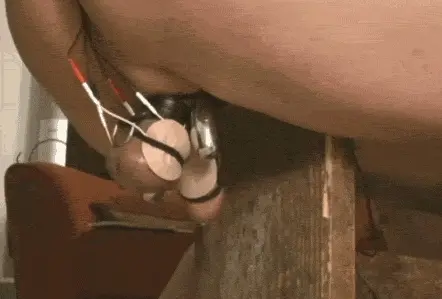 sperm collection