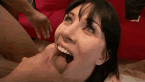 Rayveness red swallow