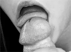 Lick the head
