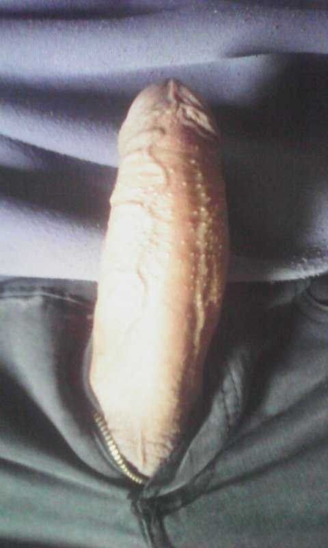Kutas