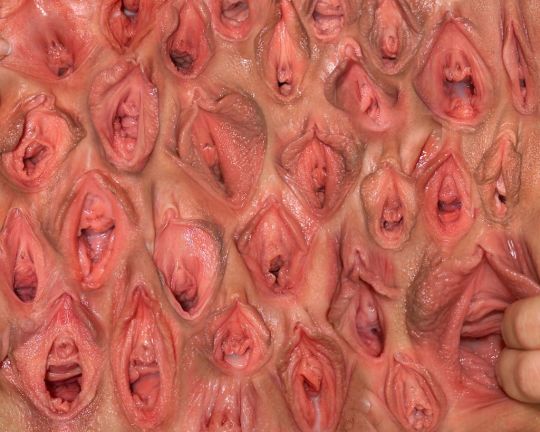 So many pussies to fuck... Which one do you like?