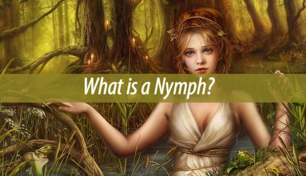 Nymph