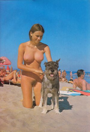 Beautiful beach boobs