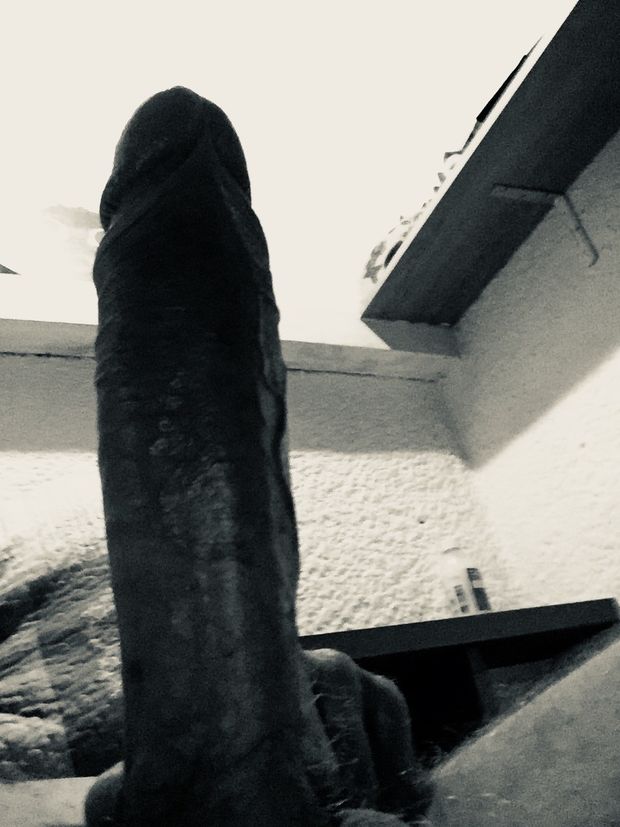 Morning