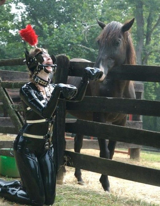 pony