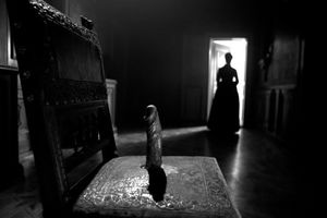 Her Ladyship's Secret Room